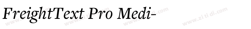 FreightText Pro Medi字体转换